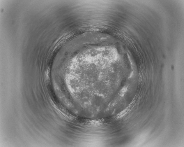 X0000057070166200510071442