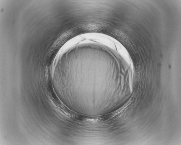 X0000057070167200510071442