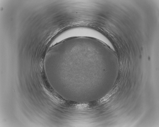 X0000057070168200510071442