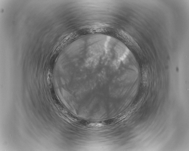 X0000057070169200510071442