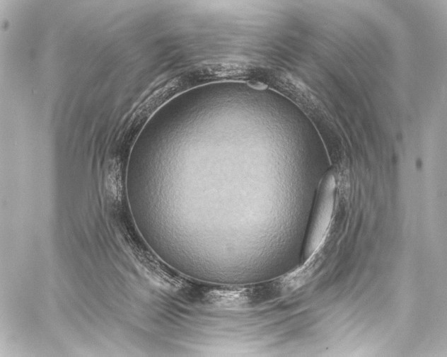 X0000057070170200510071442