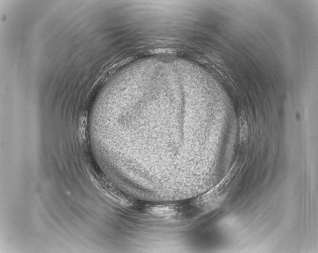 X0000057070171200510071442