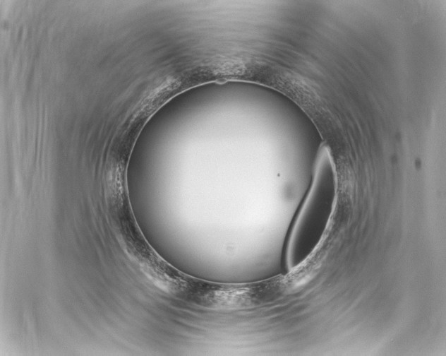 X0000057070172200510071442