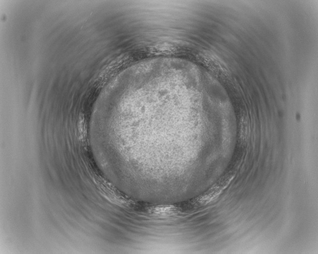 X0000057070173200510071442