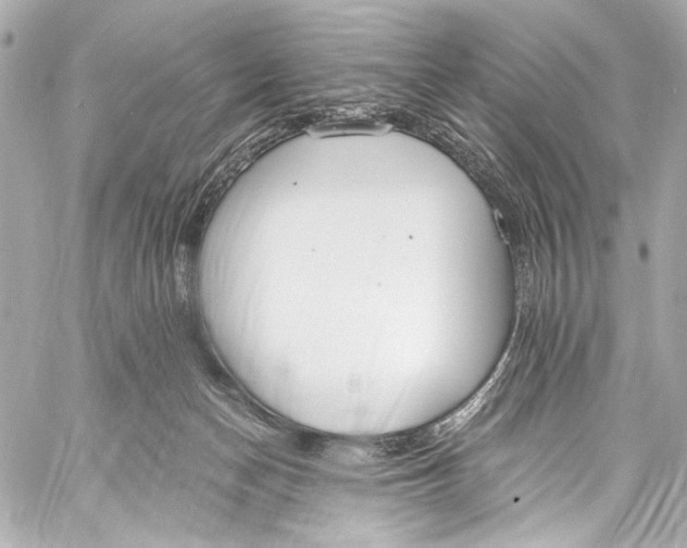 X0000057070174200510071442