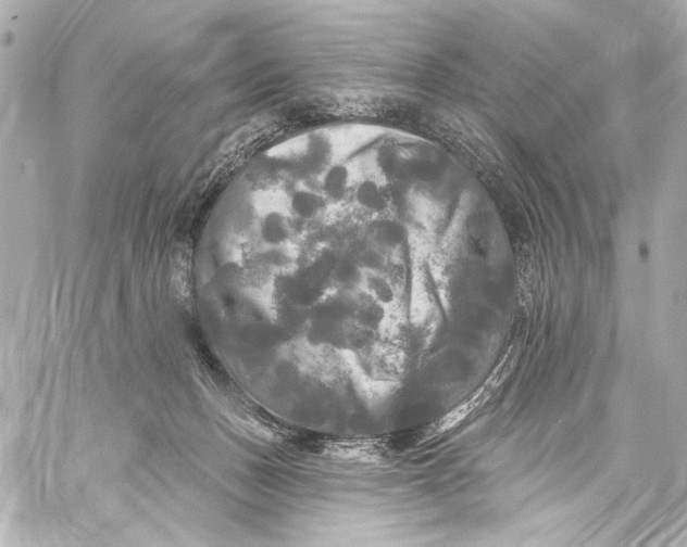 X0000057070175200510071442