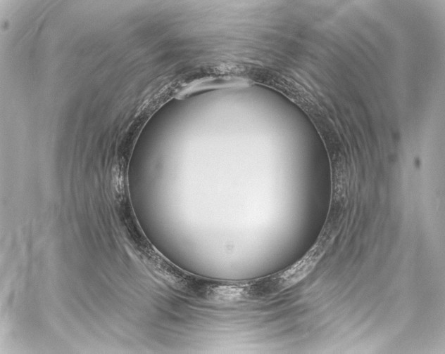 X0000057070176200510071442