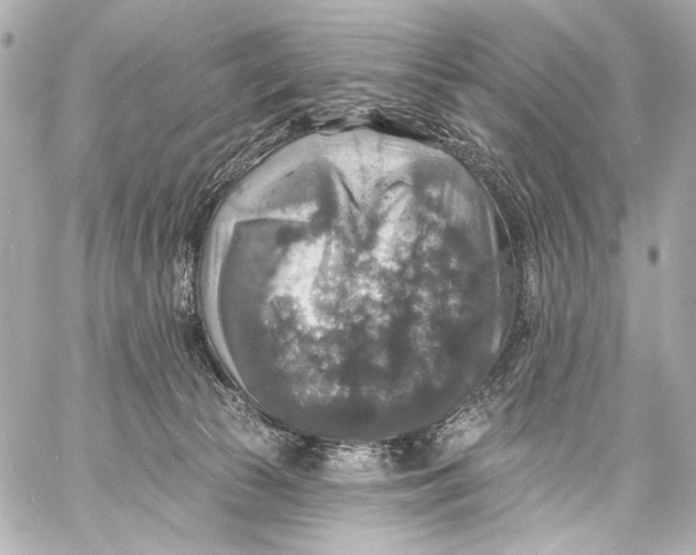 X0000057070177200510071442