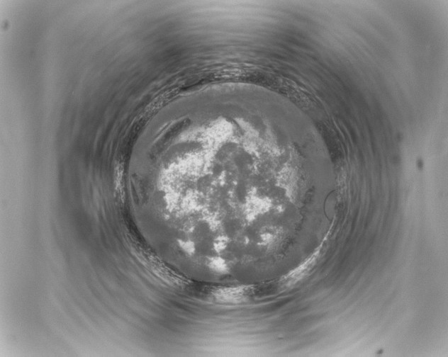 X0000057070178200510071442