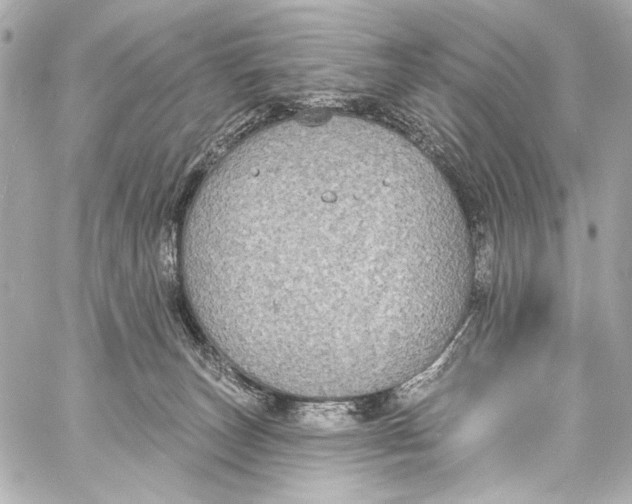 X0000057070179200510071442