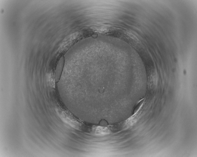 X0000057070180200510071442