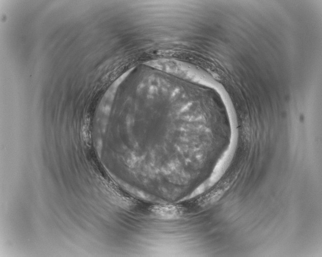 X0000057070181200510071442