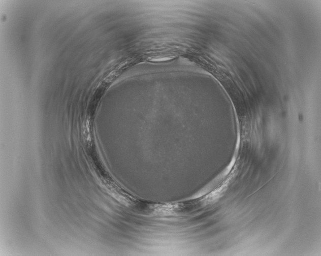 X0000057070182200510071442