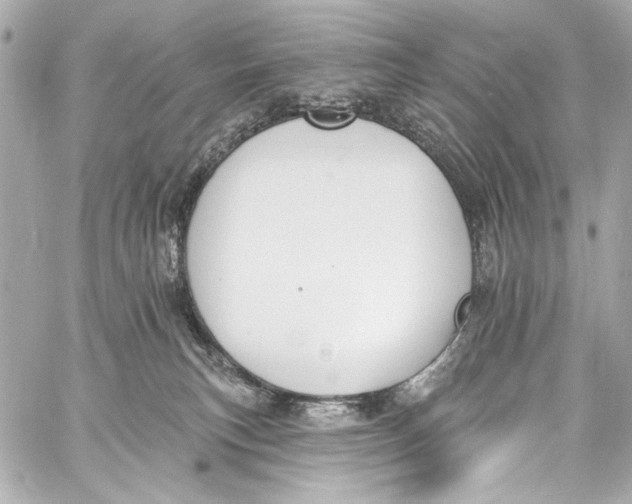 X0000057070183200510071442