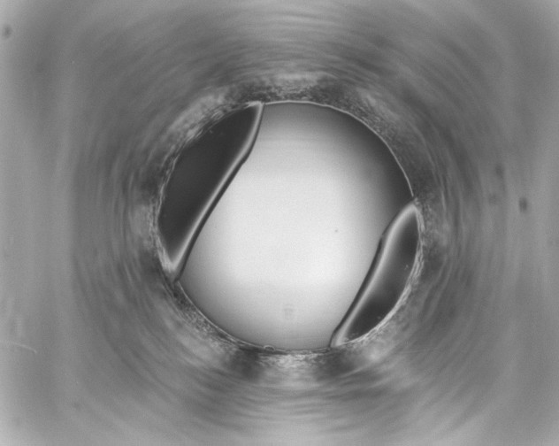 X0000057070184200510071442