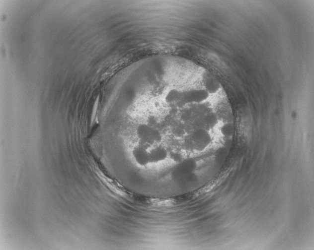 X0000057070185200510071442