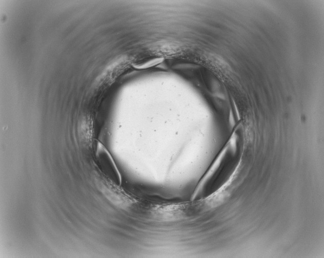 X0000057070186200510071442