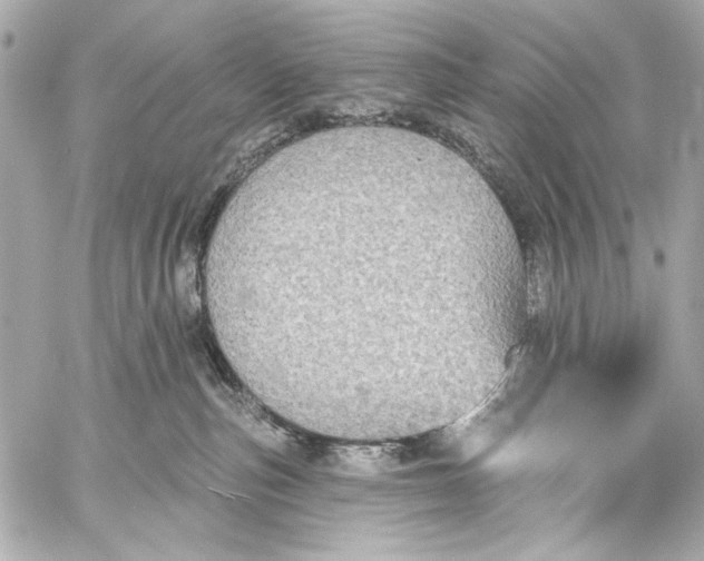 X0000057070187200510071442