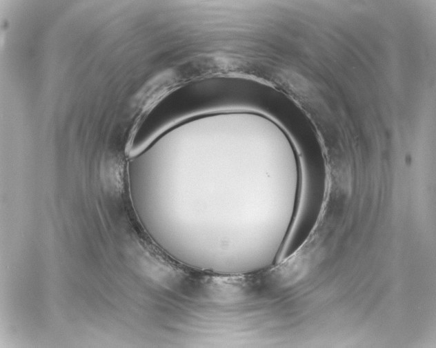 X0000057070188200510071442