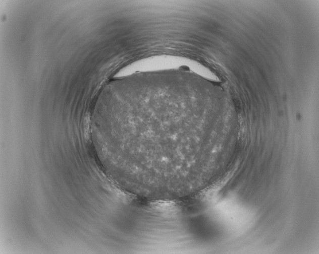 X0000057070189200510071442