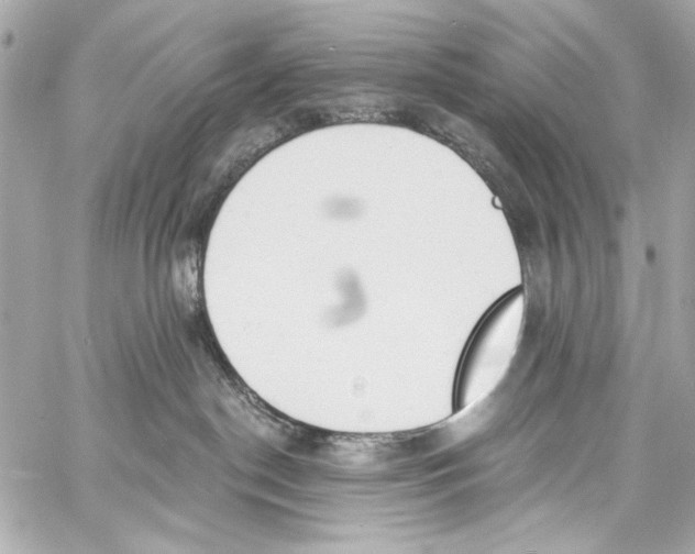 X0000057070190200510071442