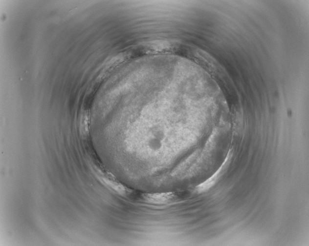 X0000057070191200510071442