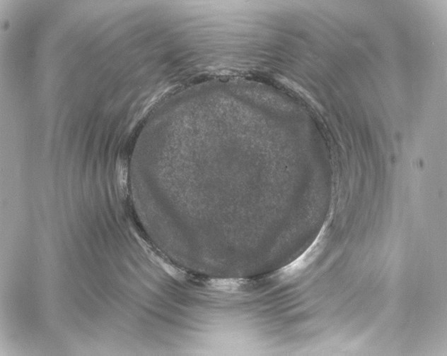 X0000057070192200510071442