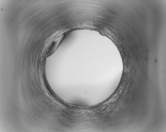 X0000057070193200510071441