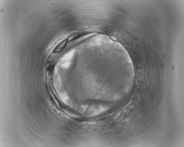 X0000057070194200510071441