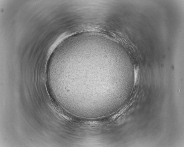 X0000057070195200510071441