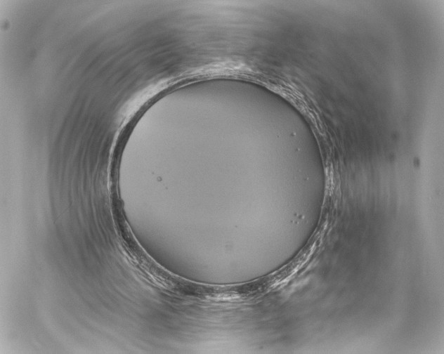 X0000057070196200510071441