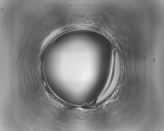 X0000057070197200510071441