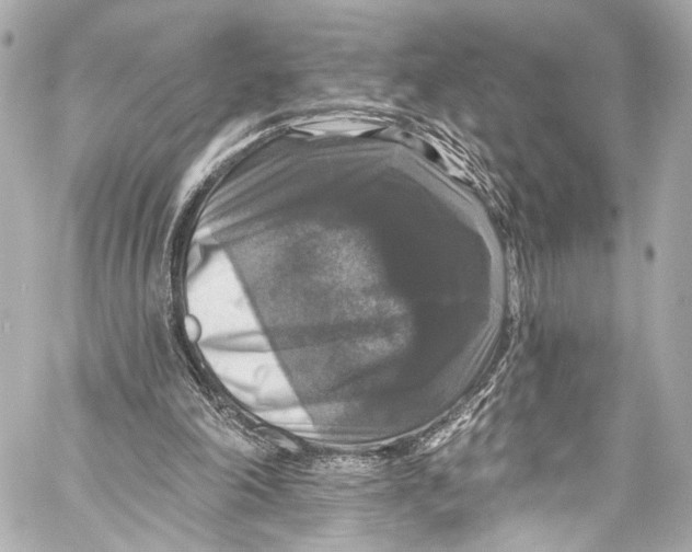 X0000057070198200510071441