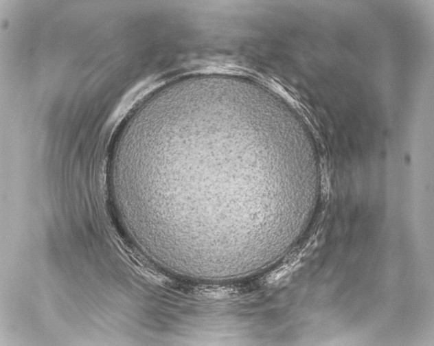 X0000057070199200510071441