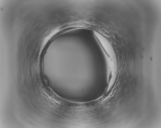 X0000057070200200510071441