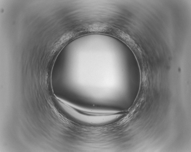 X0000057070201200510071441