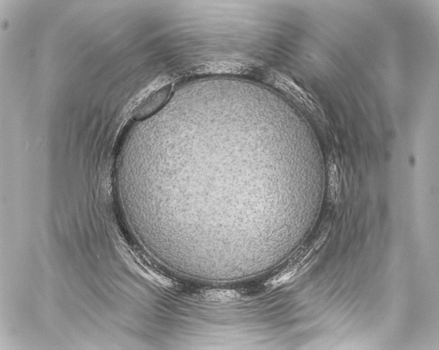 X0000057070203200510071441