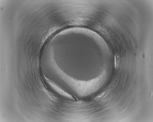 X0000057070204200510071441