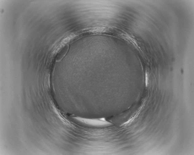 X0000057070205200510071441