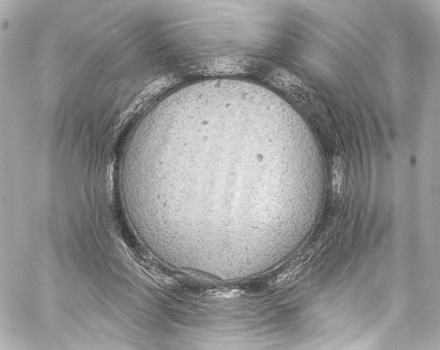 X0000057070206200510071441