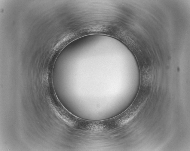 X0000057070207200510071441