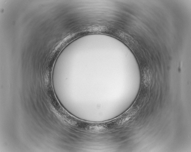 X0000057070208200510071441