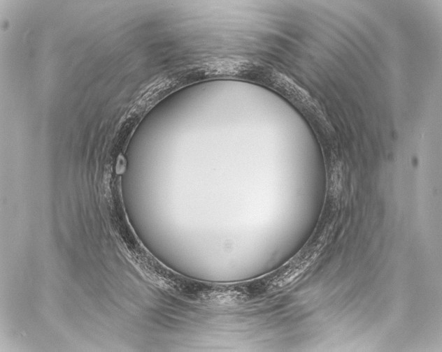 X0000057070209200510071441