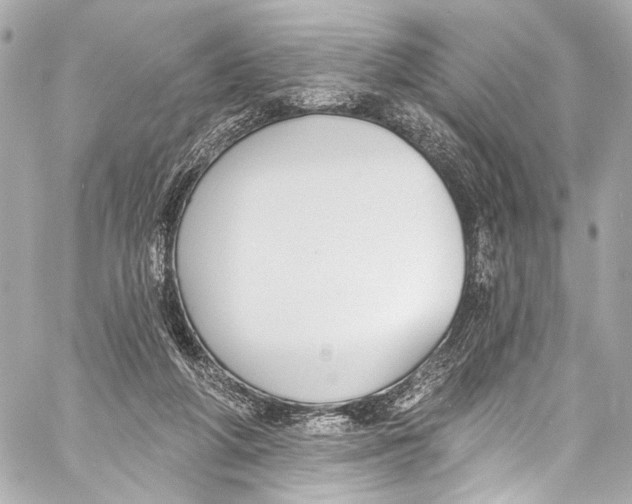 X0000057070210200510071441