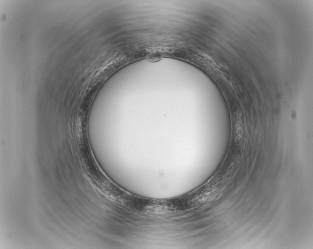 X0000057070211200510071441