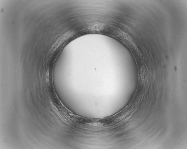 X0000057070212200510071441