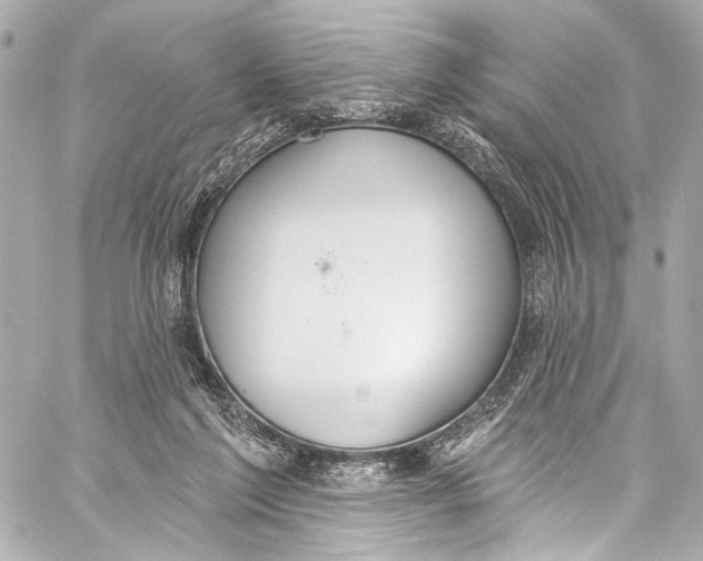 X0000057070213200510071441