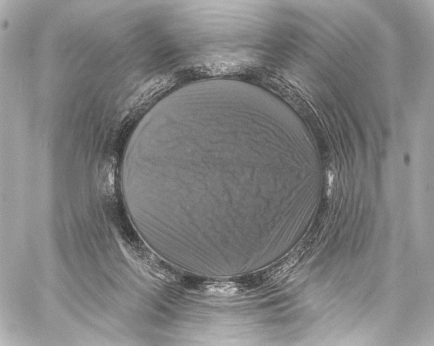 X0000057070214200510071441