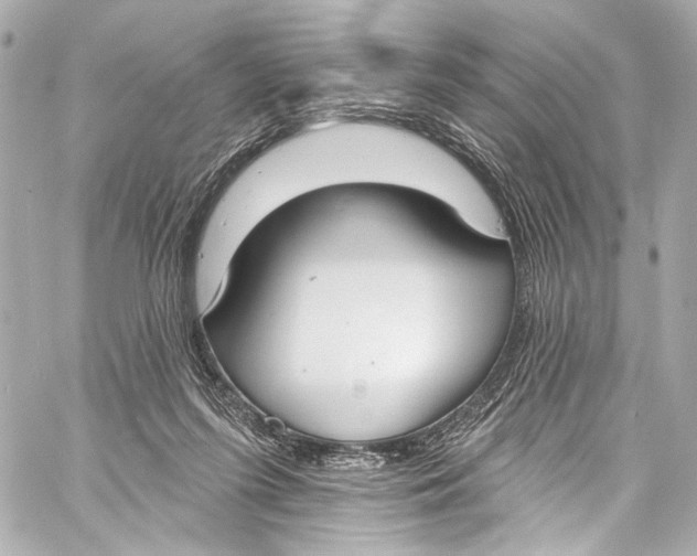 X0000057070215200510071441