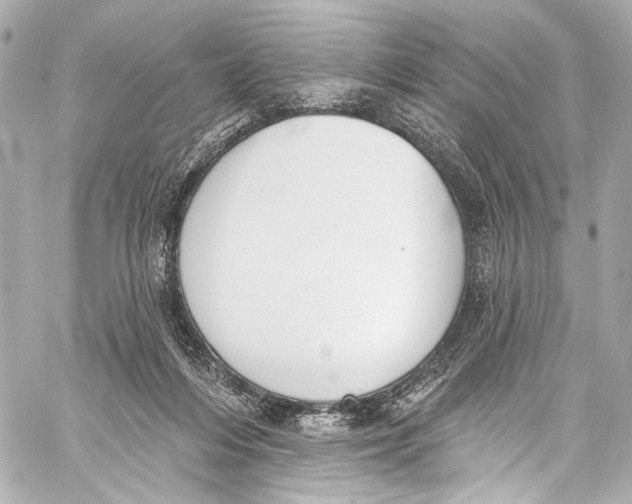 X0000057070216200510071441